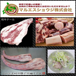 北海道産和牛テールカット済み 冷凍1本分 約1.3Kg 国産牛 テール 冷凍 ホルモン スープ 焼肉 国産テールスープ 10kg迄送料同額にて同梱可能