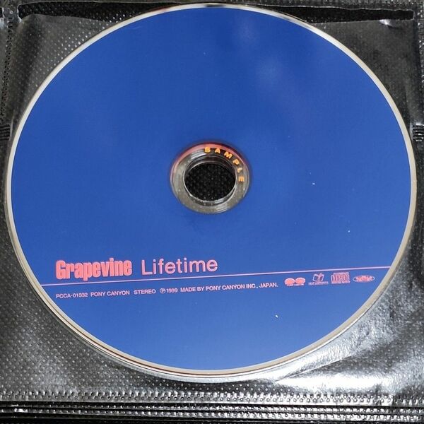 【SAMPLE品】Grapevine/Lifetime