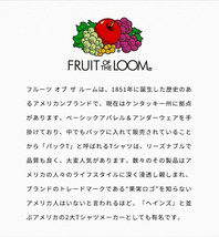 【新品】 LL ブラック FRUIT OF THE LOOM(フルーツオブザルーム) 半袖 スウェット メンズ ヘビーウェイト 11.8オンス 厚手 無地 クルーネッ_画像6