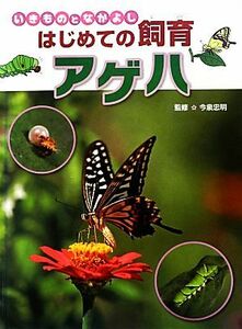 いきものとなかよしはじめての飼育　アゲハ／今泉忠明【監修】