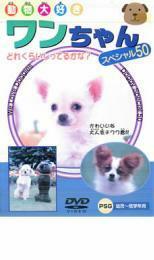 ワンちゃん スペシャル50 中古 DVD