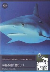 アニマル・プラネット 神秘の海に潜むサメ【字幕】 レンタル落ち 中古 DVD