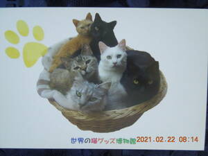 世界の猫グッズ博物館 ポストカード ② / 黒猫 白猫 麦わら猫 茶トラ サバトラ 日本猫 ミックス 雑種 / 猫写真 レトロ
