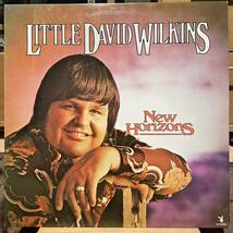 【US盤Org.】Little David Wilkins New Horizons (1977) Playboy Records KZ 35028 Billy Strange_画像1