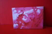 【美品】Liquid City ge karel van der sterren　オランダ　アートブック　rouge rosso red H48_画像2