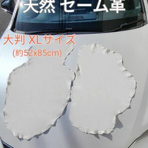 年末セール!!高級天然 セーム革 XL 52x85cm セームクロス 洗車 カメラレンズ 吸水抜群 カット可能