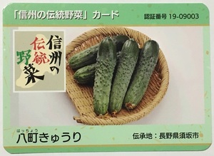 信州の伝統野菜カード　八町きゅうり【長野県須坂市】　　　　　　　　　　　　　　　　　　　　　　　　検　ダムカード　マンホールカード