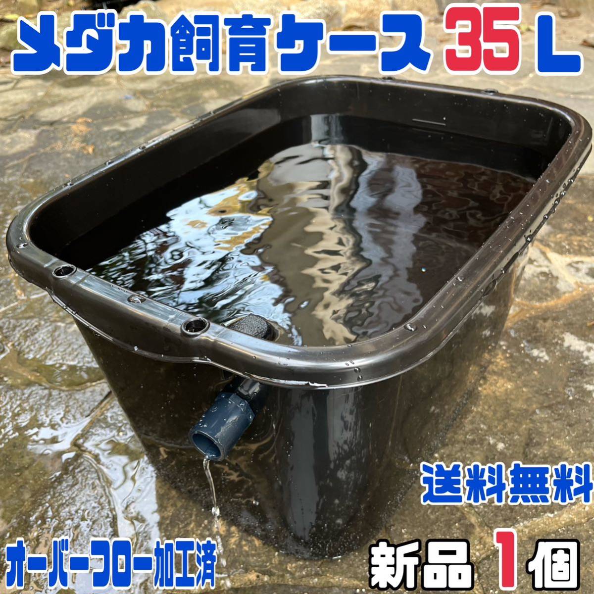 ☆メダカ飼育ケース1個 黒56L オーバーフロー加工済☆めだか容器産卵