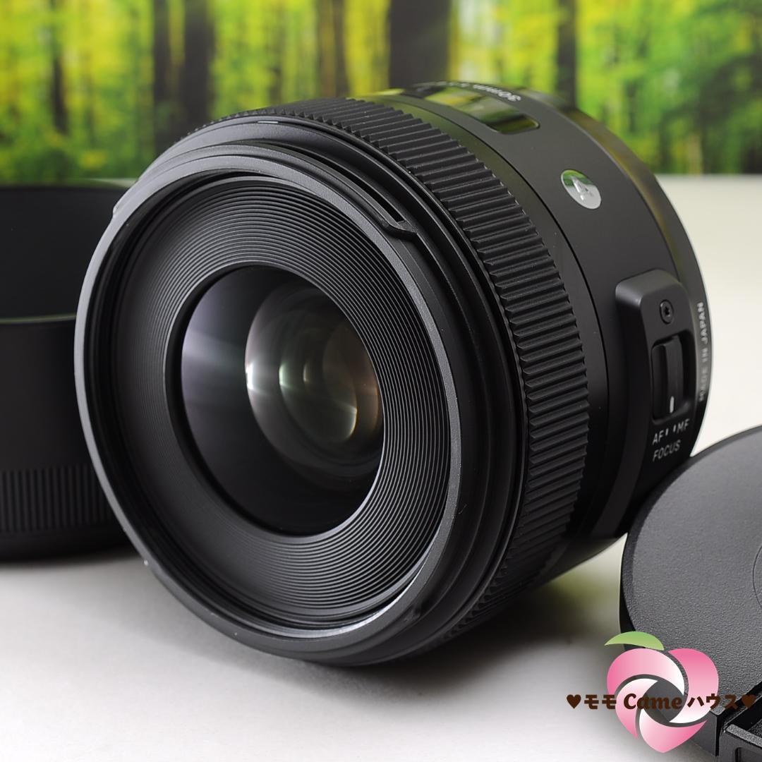 税込】 ソニー E 11mm F1.8 SEL11F18 広角単焦点レンズ agapeeurope.org