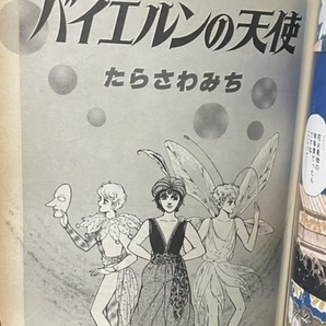 即決！木原敏江/表紙『グレープフルーツ 第23号』佐藤史生/岸裕子/橋本多佳子/鳥図明児/秋里和国/山田ミネコ/有吉京子/たらさわみち 他の画像8