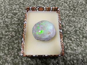  Australia production opal . fossil two sheets . shell opal opal Anne mo Night dinosaur me Garo Don 