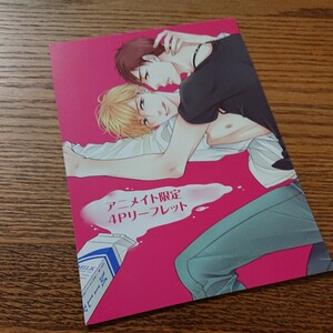 美品☆ビッチな猫は独占欲に抗えない/天王寺ミオ/BL 漫画/アニメイト特典リーフレット☆本4冊と同梱可能