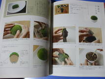 ★苔玉と苔★小さな緑の栽培テクニック_画像8