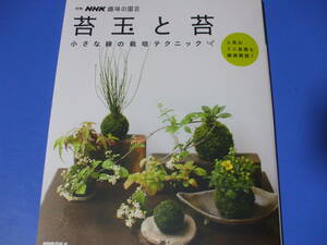 * kokedama . moss * small green. cultivation technique 