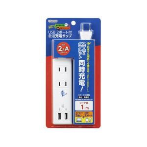 YAZAWA 国内海外兼用2AC2USB2.4A1mVFC24A2AC2U