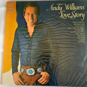 レコードLP Love story ラブストーリー　Andy Williams アンディウィリアム