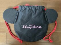 ★未使用★ tokyo Disney RESORT ミニーちゃん ナップサック ★_画像2