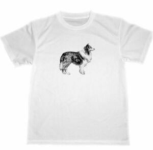 コリー　ドライ　Tシャツ　シェトランド　シープドッグ　犬　グッズ