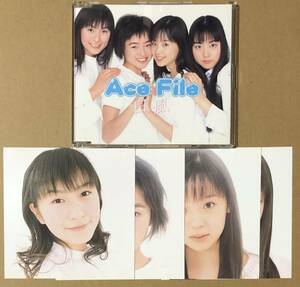 CD●Ace File　白い風　カード4枚付き　マキシシングル