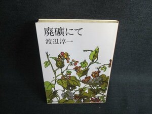 廃礦にて　渡辺淳一　日焼け有/JDY