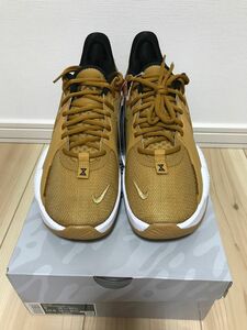 商品　NIKE PG5 EP/ナイキ PG5 EP 品番　CW3146-700