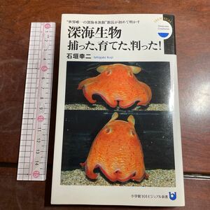 深海生物捕った、育てた、判った！　“世界唯一の深海水族館”館長が初めて明かす （小学館１０１ビジュアル新書　Ｖ０３１） 石垣幸二／著