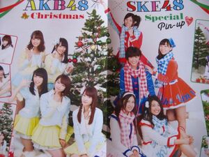 送料無料☆即決 AKB48 SKE48 月刊ザテレビジョン 2015年1月号 切り抜き