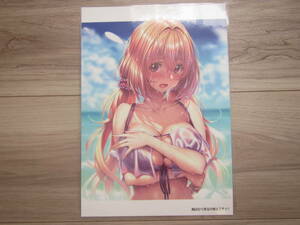 [0422] is ... she 3 B5 size cut . laminate both sides printing illustration .book@ poster .. beautiful young lady * including in a package possible 