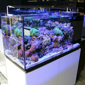 【全国配送対応】オーバーフロー水槽 P120 ペニンシュラ 120(横）×55（奥）×60（高）cm(C-1709) 海水魚 サンゴ 生体