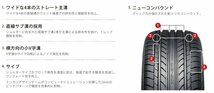 ナンカン NS-20 245/30R22 95W XL