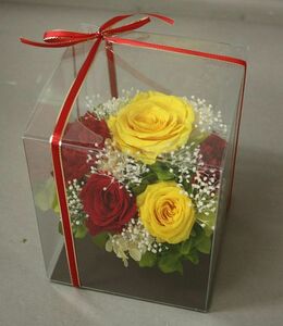  preserved flower * in the case arrange ( red * yellow series )