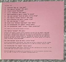 18e DFA Compilation #2 3枚組 盤質良好 MIX-CD Leftfield Experimental NU-Disco NYC Techno Punk Rock Dancer 中古品_画像4