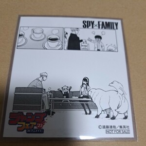 アニメイト ジャンプフェア ミニ色紙 2023 スパイファミリー SPY×FAMILY