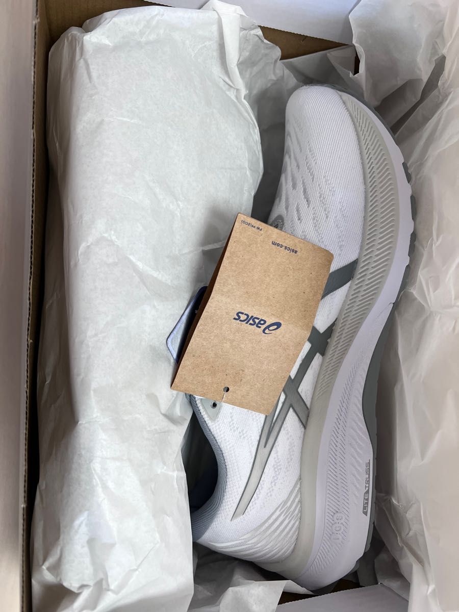ASICS GT-2000 11 Solana STEPN コラボ限定モデル | thehcac.org