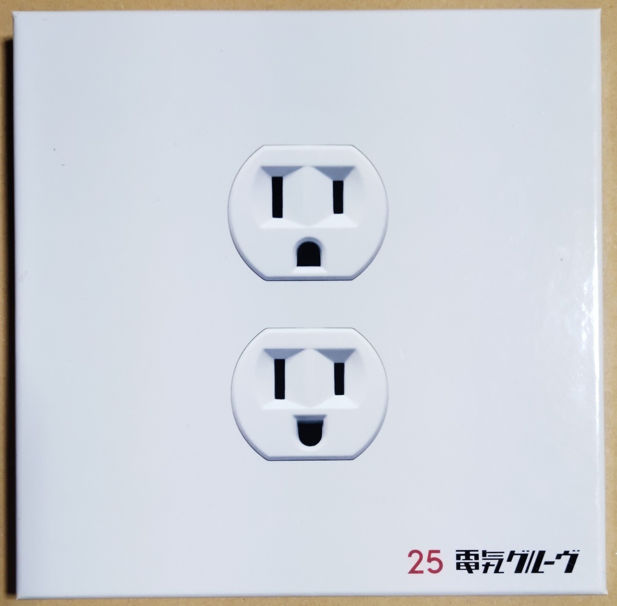 25 電気グルーヴ 限定CD レコード付-