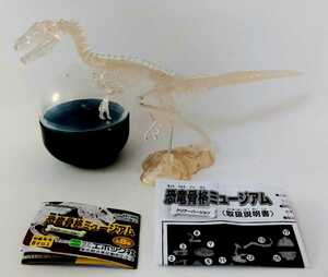  стоимость доставки 220 иен ~* огромный общая длина примерно 20cm! Epo k фирма Capsule коллекция динозавр .. Mu jiam[verokilap крутящий момент задний VERSION ] фигурка 