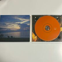 【1125C132】fennesz Endless Summer /フェネス/エンドレス・サマー 〜デラックス・エディション PCD-23855 帯付 CD_画像2