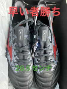 MORELIA NEO III β SR4 JAPAN モレリアネオ3 β 26.5