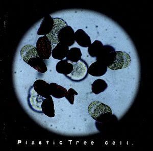 ＣＥＬＬ／Ｐｌａｓｔｉｃ　Ｔｒｅｅ