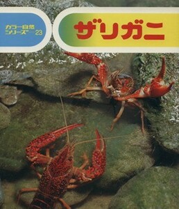 ザリガニ カラー自然シリーズ２３／七尾純(著者),小田英智(著者)