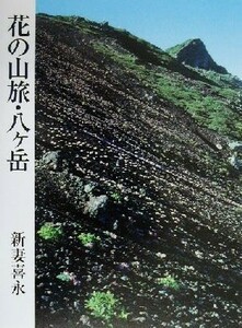 花の山旅・八ケ岳／新妻喜永(著者)