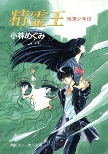 精霊王 極東少年　３ 角川スニーカー文庫／小林めぐみ(著者)