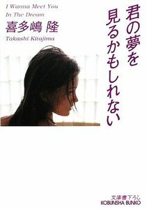 君の夢を見るかもしれない 光文社文庫／喜多嶋隆【著】