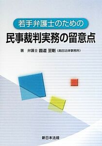 若手弁護士のための民事裁判実務の留意点／圓道至剛【著】