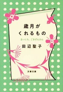 歳月がくれるもの　まいにち、ごきげんさん 文春文庫／田辺聖子(著者)