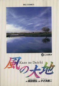 風の大地(２２) 二人の天才 ビッグＣ／かざま鋭二(著者)