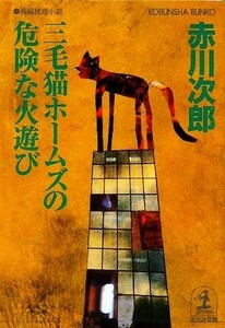 三毛猫ホームズの危険な火遊び 光文社文庫／赤川次郎【著】