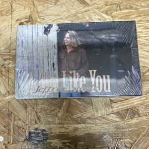 ユ ROCK,POPS JEFFREY STEELE - A GIRL LIKE YOU / MY GREATEST LOVE シングル TAPE 中古品