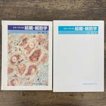 G-7052■カラーアトラス組織・細胞学■岩永 敏彦/著■医歯薬出版■2007年1月20日 第1版第10刷■_画像1