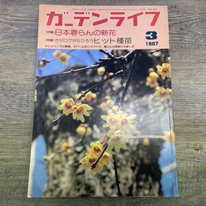 Z-7315■ガーデンライフ 1987年3月号（GARDEN LIFE）■日本春らんの新花/カタログからひろうヒット種苗/庭作り ガーデニング■誠文堂新光社